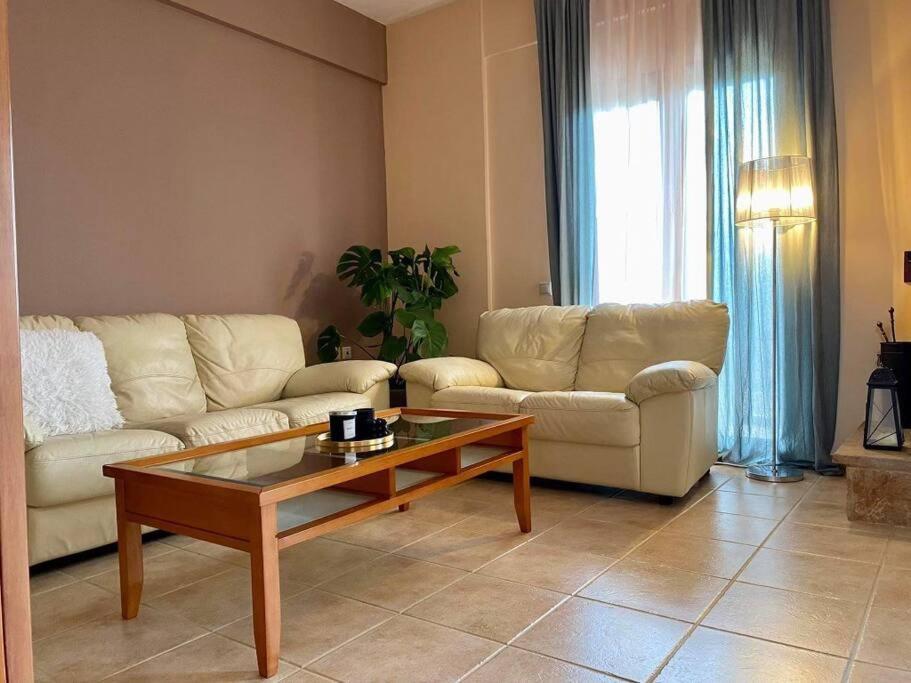 Helen'S House Apartment Palairos Exterior photo